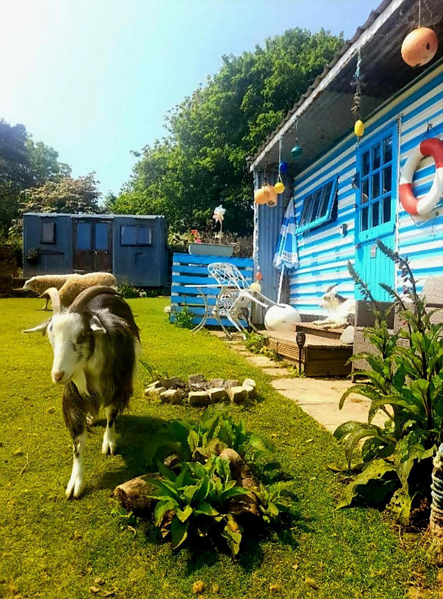 فندق Treguth Glamping Unique Experience - Themed Huts Saint Day المظهر الخارجي الصورة