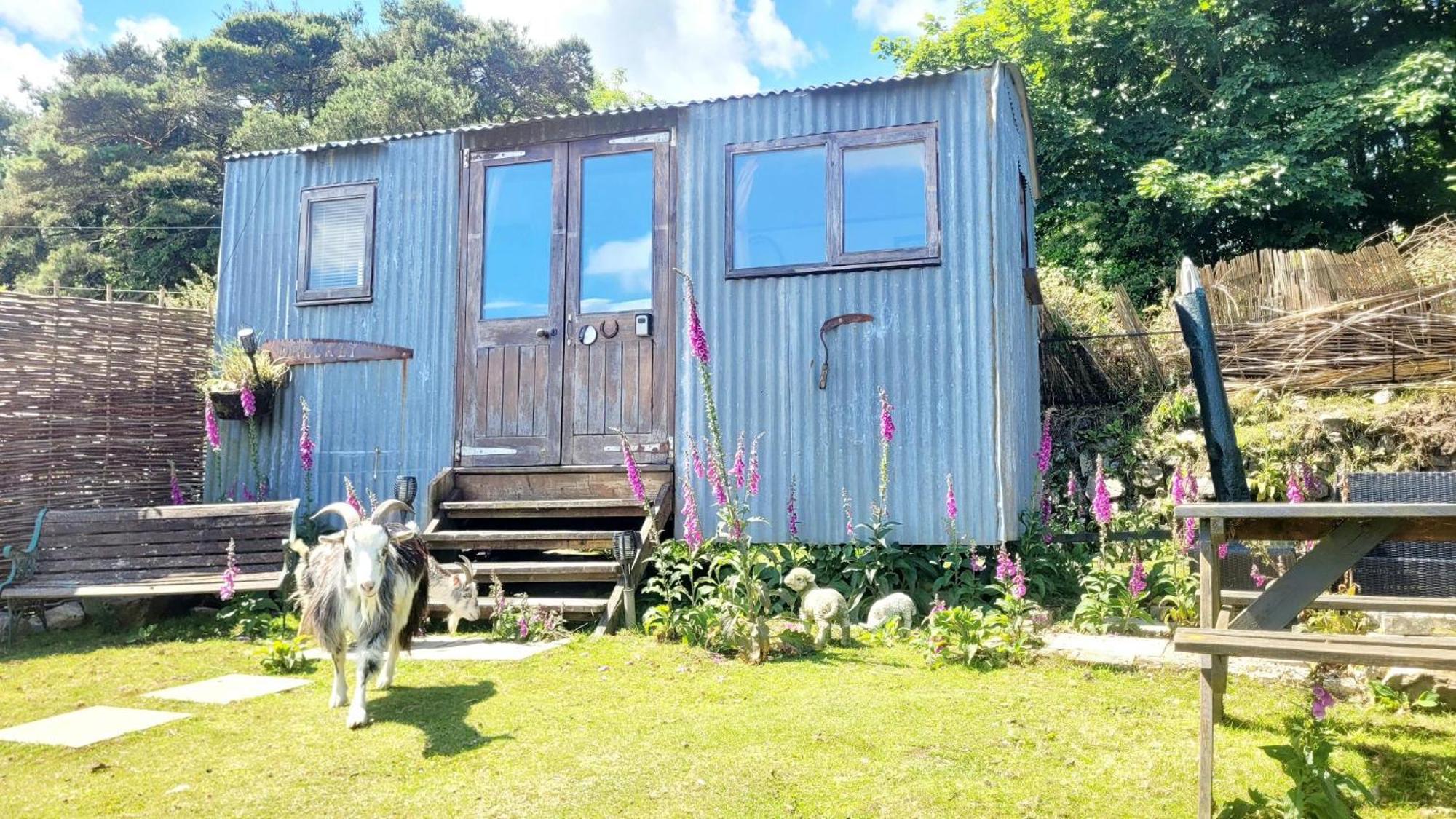 فندق Treguth Glamping Unique Experience - Themed Huts Saint Day المظهر الخارجي الصورة