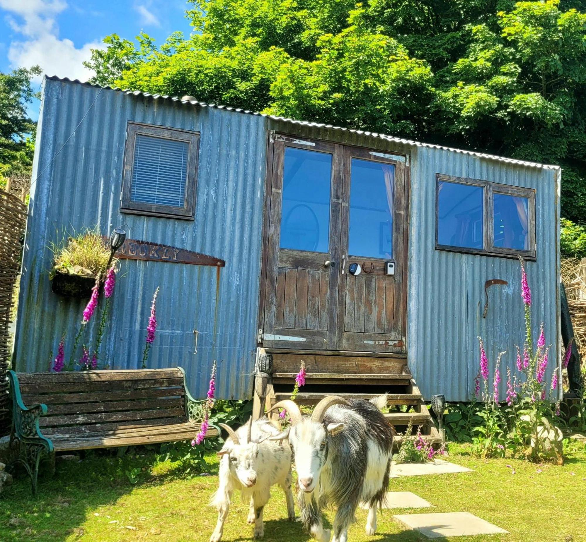 فندق Treguth Glamping Unique Experience - Themed Huts Saint Day المظهر الخارجي الصورة