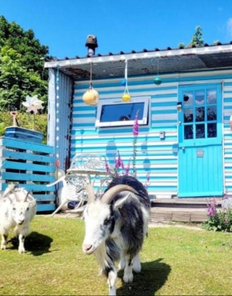 فندق Treguth Glamping Unique Experience - Themed Huts Saint Day المظهر الخارجي الصورة